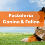 Pastelería Canina y Felina